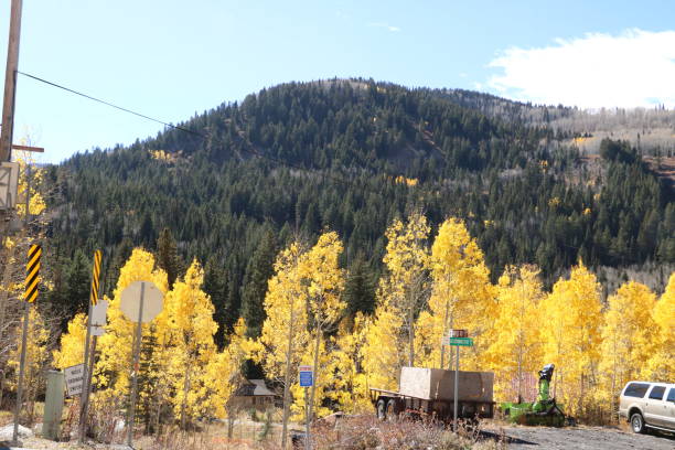 istock Aspens shine yellow in the Wasatch Mountains in Fall 1148120419