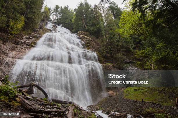 Bridal Veil Falls Stock Photo - Download Image Now - Bridal Veil Falls Yosemite, Bridal Veil Falls Telluride, Abbotsford - Canada