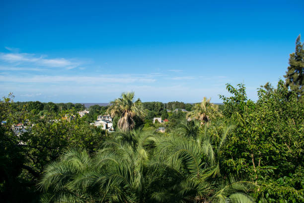 San Isidro is a municipality in Greater Buenos Aires. It is located 27.9 km from the Autonomous City of Buenos Aires. It ranks as the province's most affluent neighborhood. The center of San Isidro is a historic area with cobbled streets and old single-story houses.