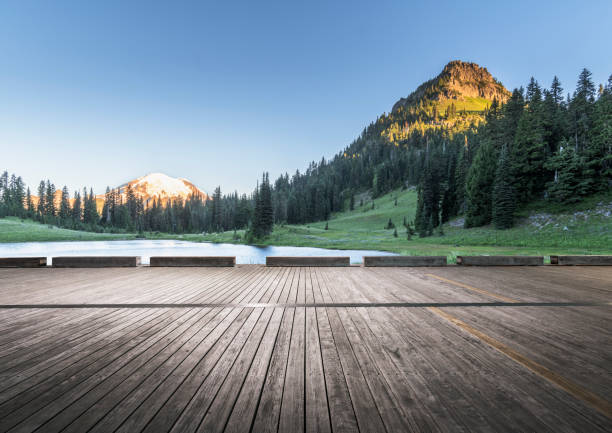 istock scenic view of Mount Rainier national park 1148129108