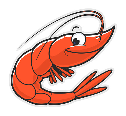 Cartoon funny smiling shrimp on the white background.