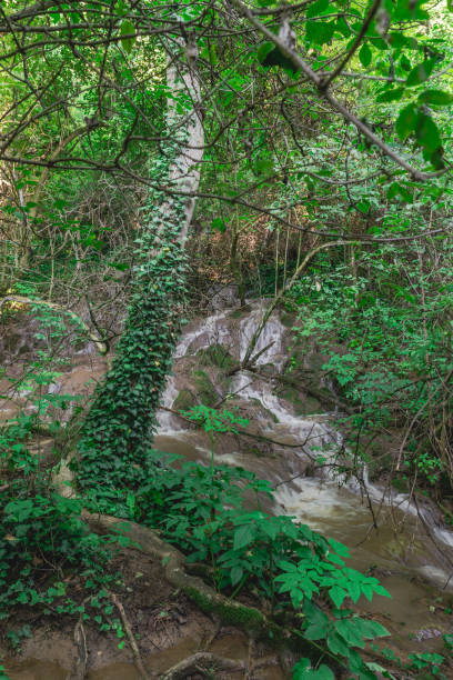 istock Krushuna waterfalls in Bulgaria 1148138183