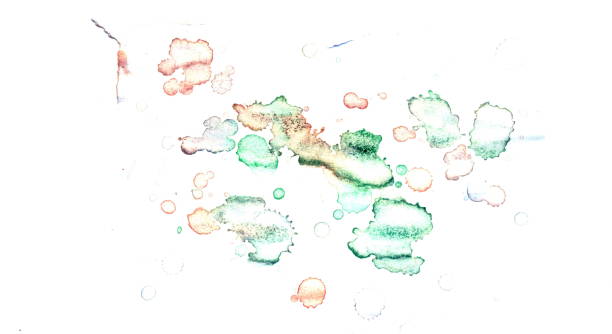 istock Watercolor illustrations drawn paints on white paper background 1148143531