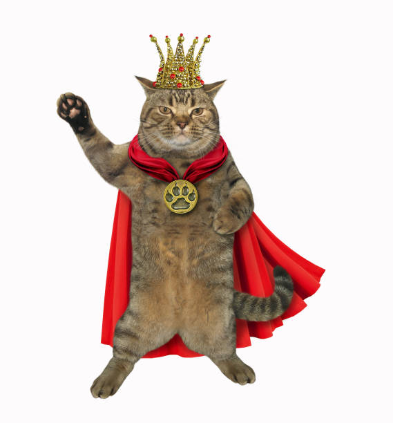 istock Cat king in a red cloak 1148146627