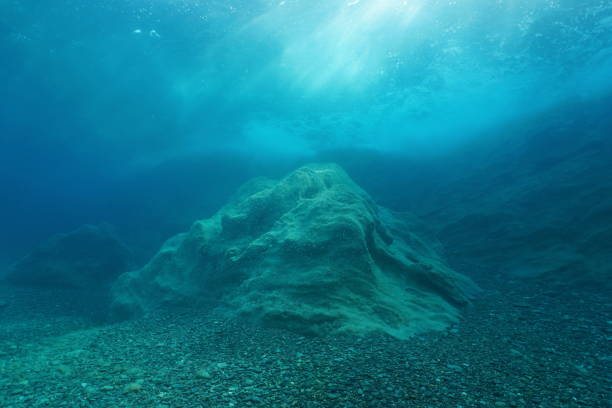 istock A rock underwater on the seabed Mediterranean sea 1148147882