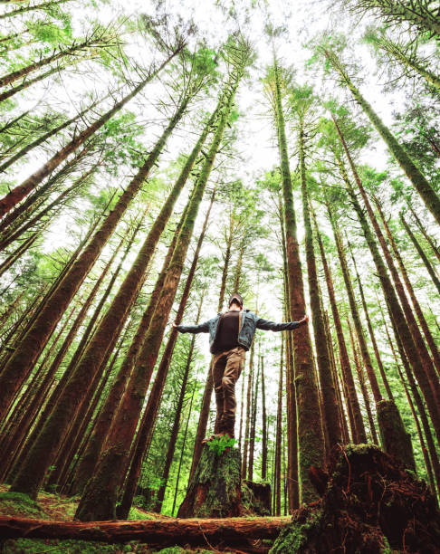 istock freedom man in the washington state 1148149256