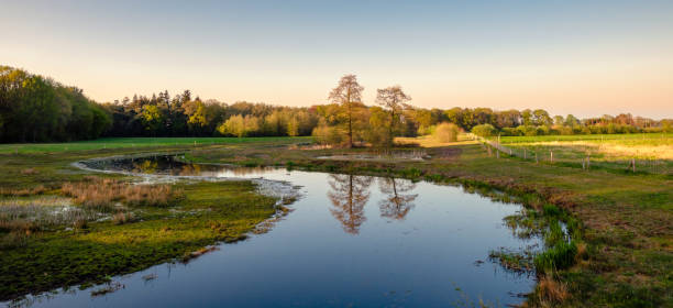 istock Dutch landscape near Tusveld (Twente, Overijssel, Netherlands) during sunset 1148165881