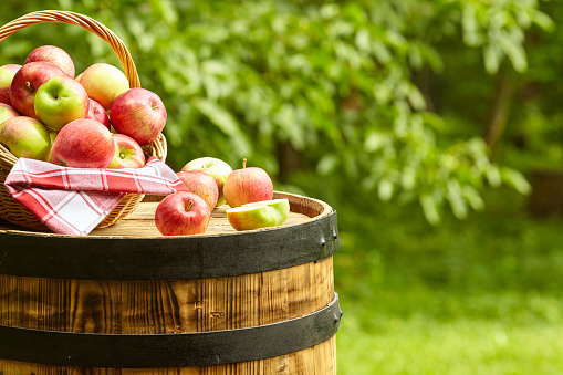 apples on garden background on the old barrel