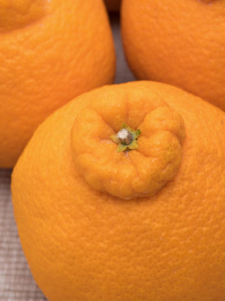 istock Japanese citrus named 