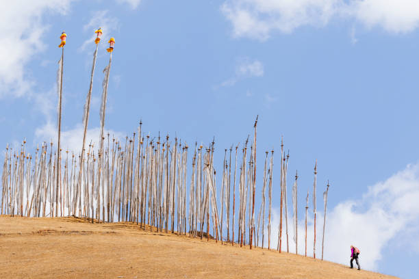 A woman is walking toward prayer flag poles on a hill in Phobjikha valley