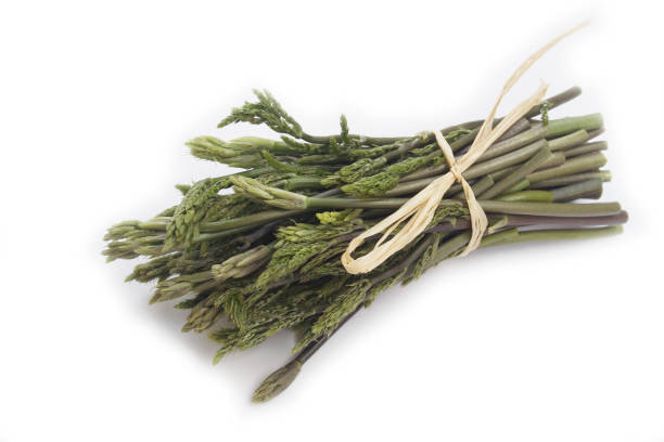 istock Butcher's Broom sprouts isolated on white 1148172554