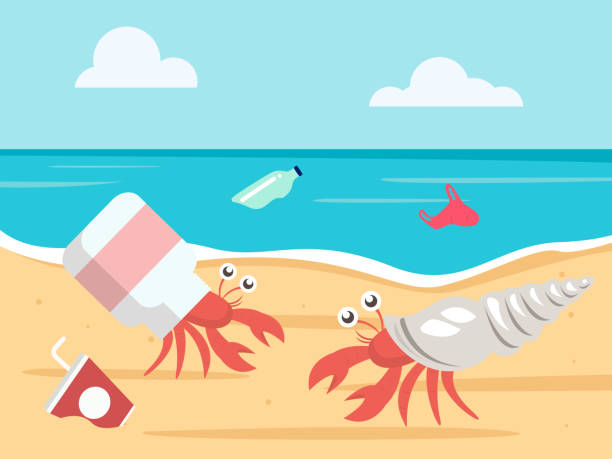 ocean plastic pollution concept. hermit crab with a plastic bottle shell. vector illustration ocean plastic pollution concept. hermit crab with a plastic bottle shell. vector illustration hermit crab stock illustrations