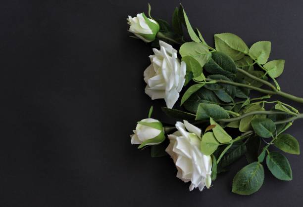 istock White roses as a gift card 1148173298