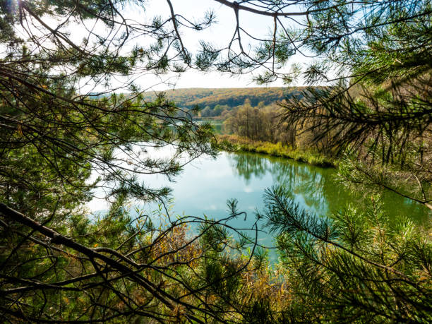 istock Beautiful view of a small lake edged by green trees. 1148174608