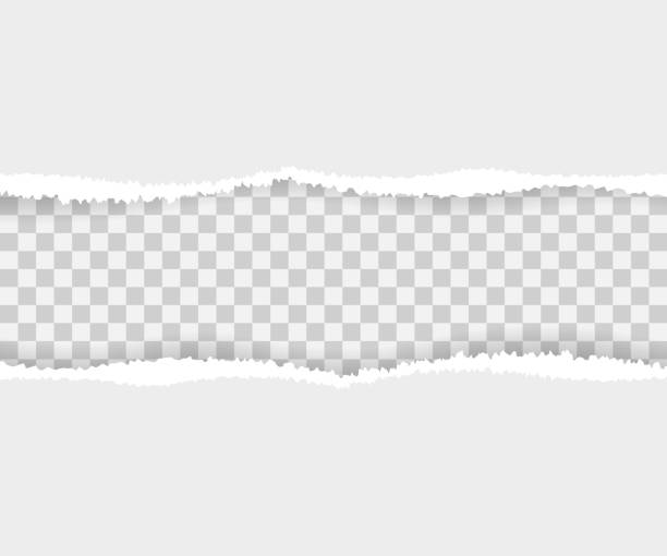 Torn paper edges, seamless horizontally. Vector stock illustration. Torn paper edges, seamless horizontally. Vector illustration. torn photos stock illustrations