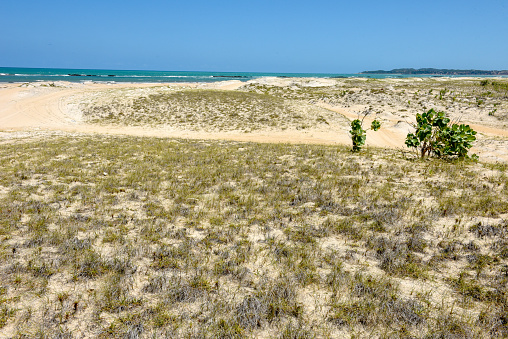 The beach of Barra de Cunhau near Pipa on Brazil