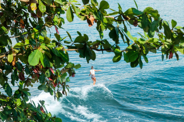 Surfista ragazza che naviga su un'onda - foto stock