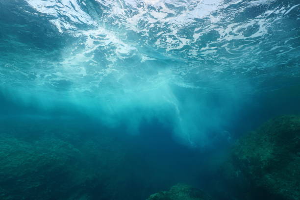 istock Sea foam wave breaking on rock underwater 1148185784