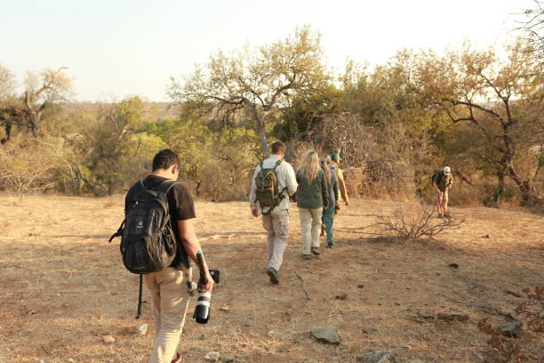 Guide and a mature woman looking at the scenic view while standing on an observation deck in a wildlife reserve