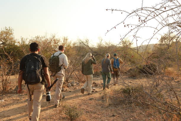 buschspaziergang im krüger nationalpark - kruger national park sunrise south africa africa stock-fotos und bilder