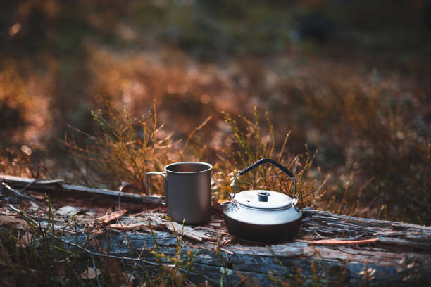 istock Kettle and mug on a stump in the forest in focus. Background blurred 1148186105