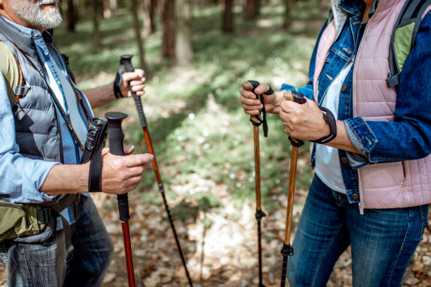 istock Hiking with trekking sticks 1148188583