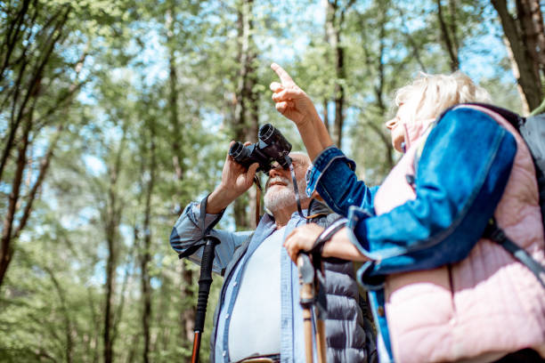 istock Senior couple hiking in the forest 1148188630
