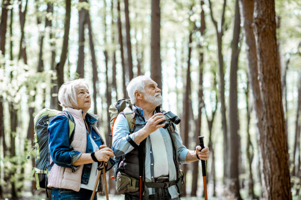 Senior couple hiking in the forest