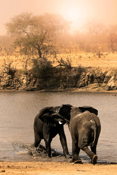 Kruger National Park, Sudáfrica