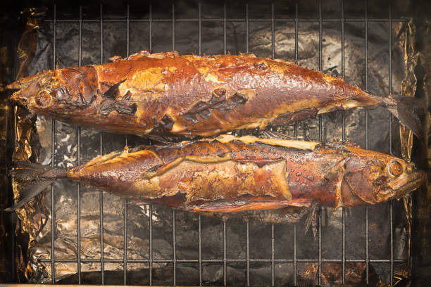 Lots of Salmon fillets hanging in a room to be smoked over a few days.