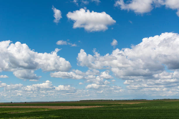 istock Blue sky and green field, sky background with tiny clouds 1148195058