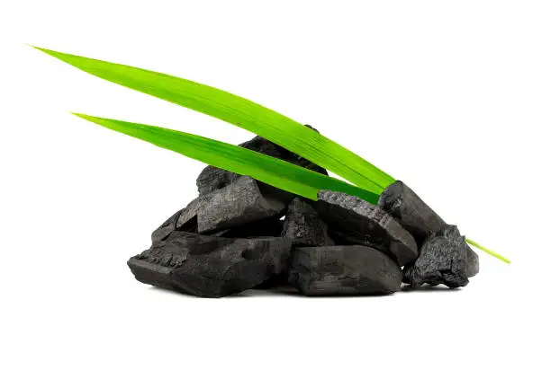 Photo of Natural wood charcoal,Bamboo charcoal powder has medicinal properties with traditional charcoal isolated on white background