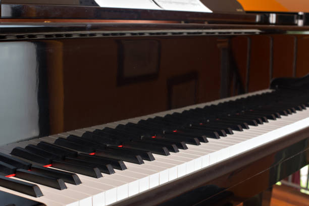 istock Closeup side view of classical piano 1148202508