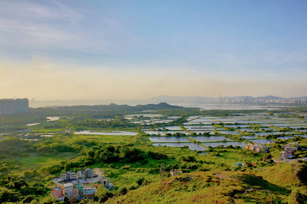 istock fish pool at  Yuen Long 1 June 2014 1148203013
