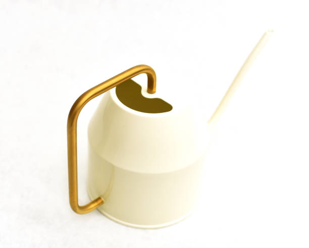 istock Modern Scandinavian watering can with gold handle 1148206889