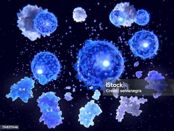 After Activation By Antigen Presenting Cells T Helper Cells Segregate Several Cytokins Il4 Il5 Il6 Il9 Il10 And Il13 Stock Photo - Download Image Now