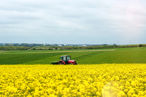 farmer at work in the fields