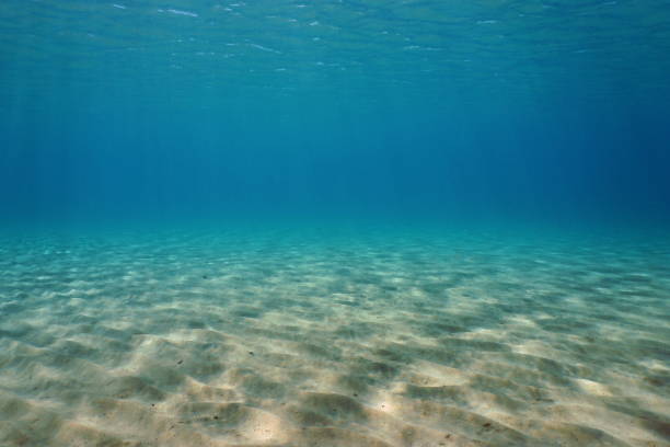 istock Underwater sand Mediterranean sea natural scene 1148212482