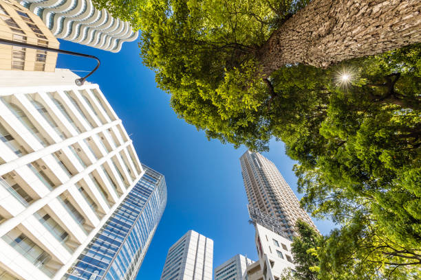 istock Fresh green and buildings 1148213902