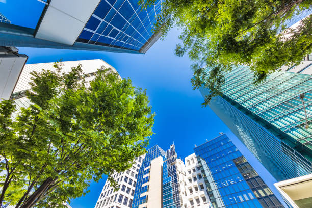 istock Fresh green and buildings 1148213916