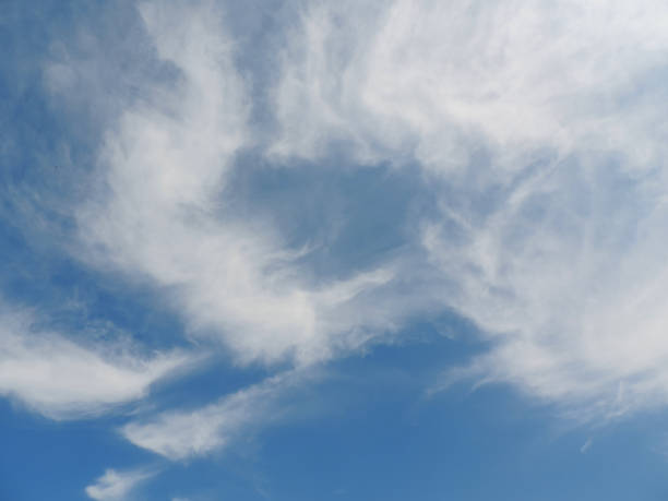 céu azul com nuvens - cumulus humilis - fotografias e filmes do acervo