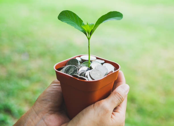 istock Money in pot with plant growing, Saving Concept 1148218555