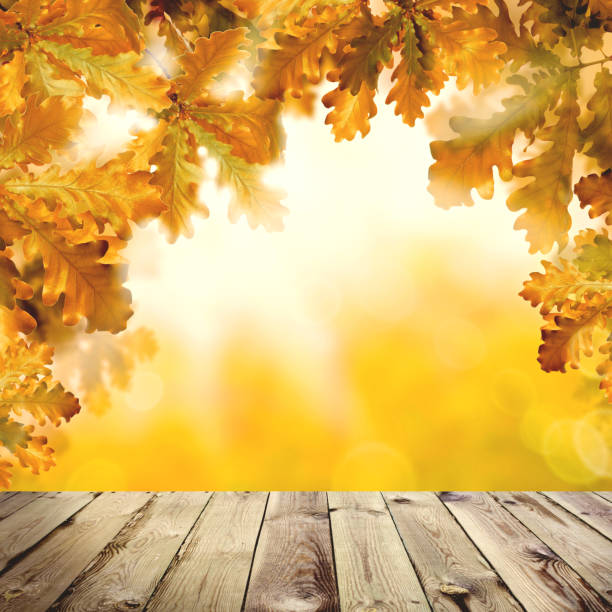 istock Autumn background with empty wooden board, fall yellow oak leaves and abstract bokeh light 1148220017