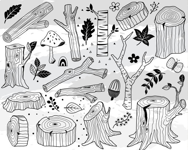 illustrations, cliparts, dessins animés et icônes de main dessiner nature bois bûches éléments - wood rough plank textured