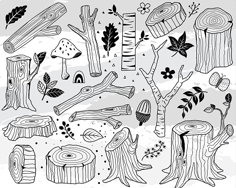 A vector illustration of Hand Draw Nature Wood Logs Elements. Perfect for Woodland Animal theme, holiday, card and many more.