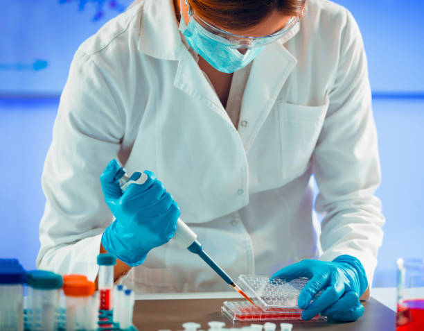 istock Biotechnology. Laboratory technician working with cell culture 1148223833