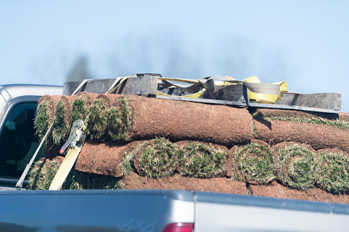 Stacks or rolls of green rolled carpet grass transported in cargo truck car landscaping service, strapped with straps outside or outdoors in countryside of Virginia