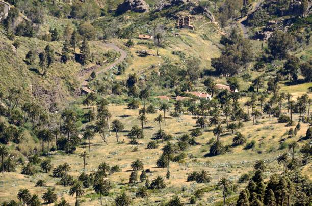 istock Tajaque Viewpoint, La Gomera 1148223888