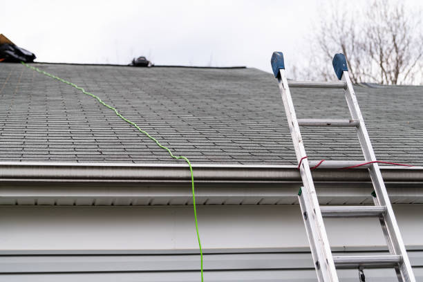 primer cierre de casa durante el día sobre garaje con color gris casa unifamiliar y tejas de techo y escalera durante la reparación - ladder fotografías e imágenes de stock