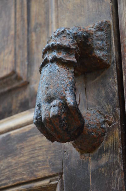 alte türklopfer - door knocker door lion luxury stock-fotos und bilder